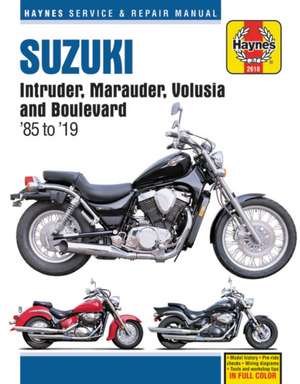 Suzuki Intruder, Marauder, Volusia & Boulevard de Haynes