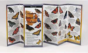 Common Butterflies of the Midwest (Coming May 2013): Prevent Haters, Trolls and Toxic People from Poisoning Your Life de Rick Cech