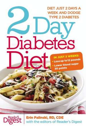 2 Day Diabetes Diet: Power Burn Just 2 Days a Week to Drop the Pounds de Erin Palinski-Wade