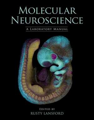 Molecular Neuroscience: A Laboratory Manual de Rusty Lansford