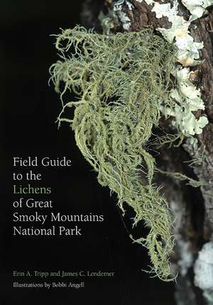 Field Guide to the Lichens of Great Smoky Mountains National Park de Erin Tripp