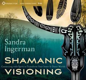 Shamanic Visioning: Connecting with Spirit to Transform Your Inner and Outer Worlds de Sandra Ingerman