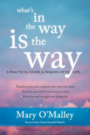 What's in the Way Is the Way: A Practical Guide for Waking Up to Life de Mary OMalley