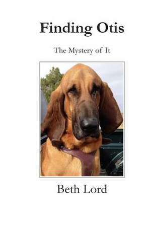 Finding Otis de Beth Bruckner Lord