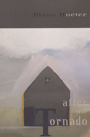 After the Tornado de Diane Hueter