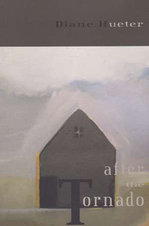 Hueter, D: After the Tornado