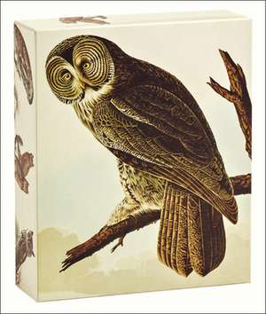 Audubon Owls QuickNotes de John James Audubon