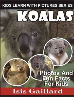 Koalas de Isis Gaillard