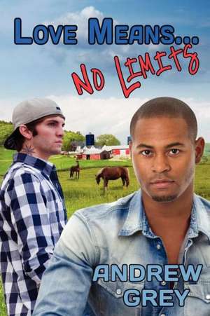 Love Means... No Limits de Andrew Grey