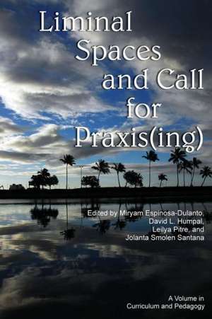 Liminal Spaces and Call for Praxis(ing) de Louis W. Fry