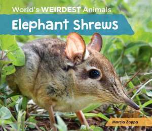 Elephant Shrews de Marcia Zappa