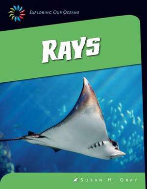 Rays de Susan H. Gray