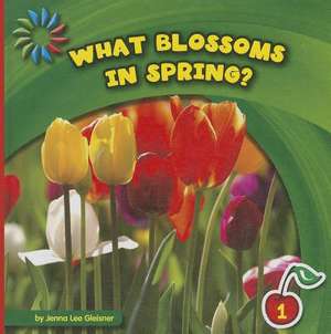 What Blossoms in Spring? de Jenna Lee Gleisner