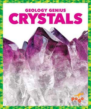 Crystals de Rebecca Pettiford