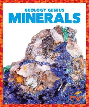 Minerals de Rebecca Pettiford