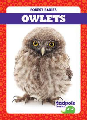 Owlets de Nilsen, Genevieve