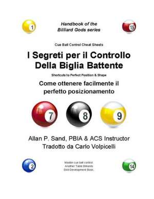 I Segreti Per Il Controllo Della Biglia Battente: Come Ottenere Facilmente Il Perfetto Posizionamento de Sand, Allan P.