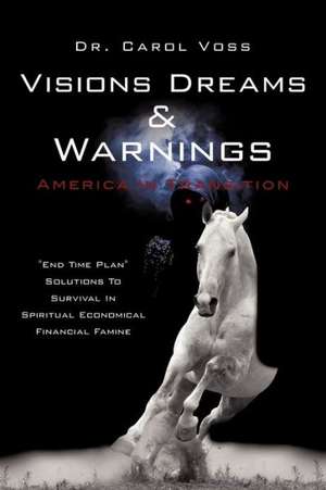 Visions Dreams and Warnings America in Transition de Carol Voss