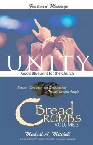 Unity God's Blueprint for the Church de Micheal A. Mitchell