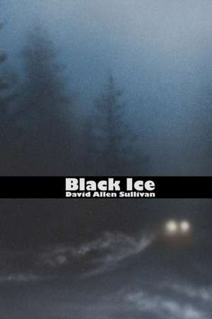 Black Ice de David Allen Sullivan