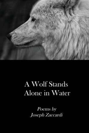 A Wolf Stands Alone in Water de Joseph Zaccardi