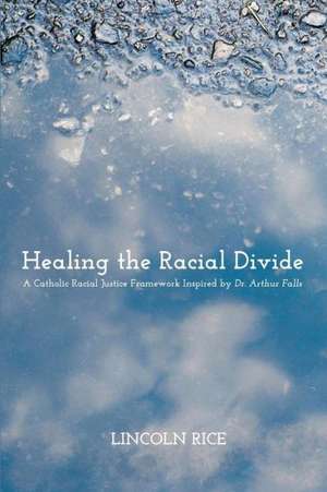 Healing the Racial Divide de Lincoln Rice