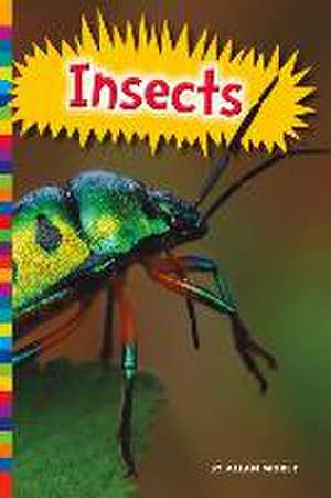 Insects de Allan Morey