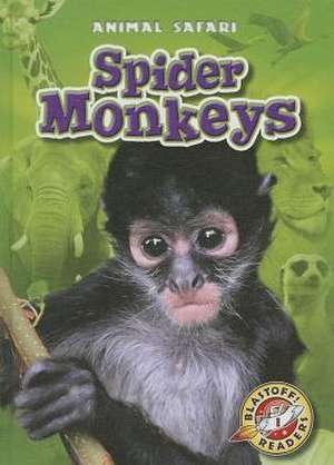 Spider Monkeys de Megan Borgert-Spaniol