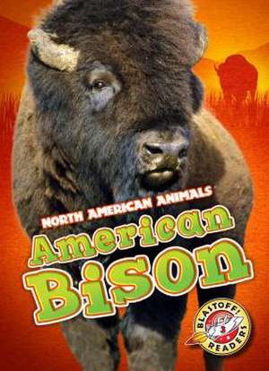 American Bison de Chris Bowman