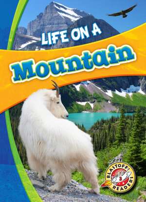 Life on a Mountain de Laura Hamilton Waxman