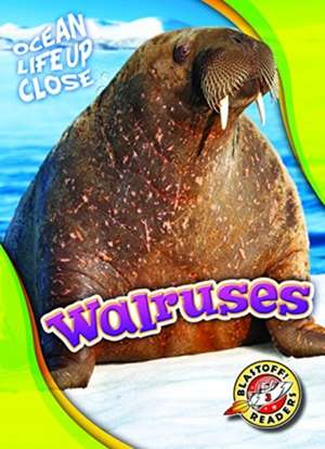 Walruses de Kari Schuetz