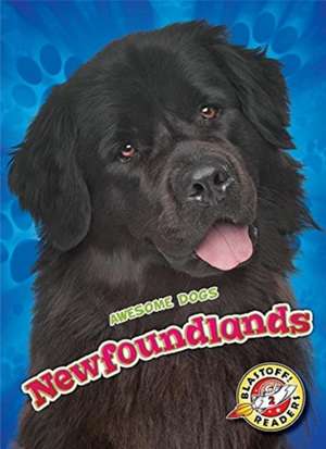 Newfoundlands de Nathan Sommer