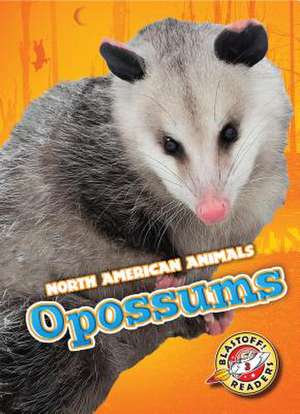 Opossums de Betsy Rathburn