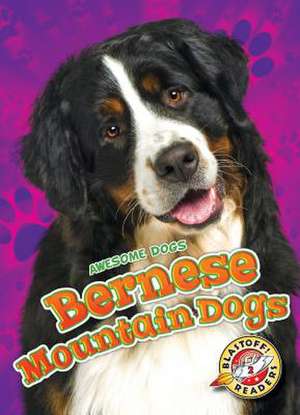 Bernese Mountain Dogs de Rebecca Sabelko