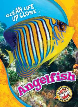 Angelfish de Nathan Sommer