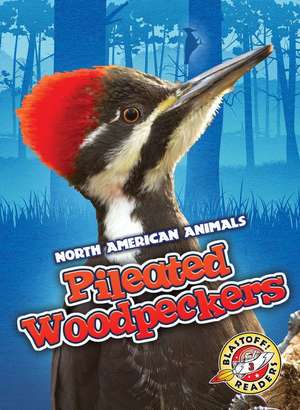 Pileated Woodpeckers de Rebecca Sabelko