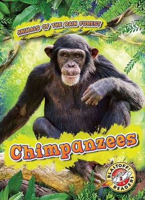 Chimpanzees de Rachel Grack