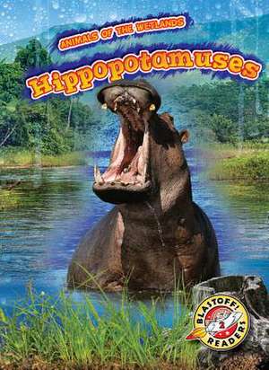 Hippopotamuses de Rachel Grack