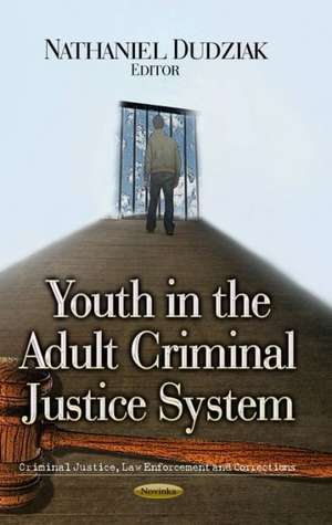 Youth in the Adult Criminal Justice System de Nathaniel Dudziak