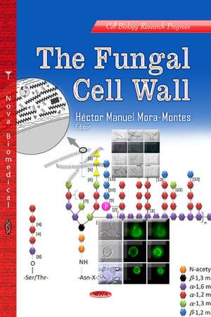 Fungal Cell Wall de Héctor Manuel Mora-Montes