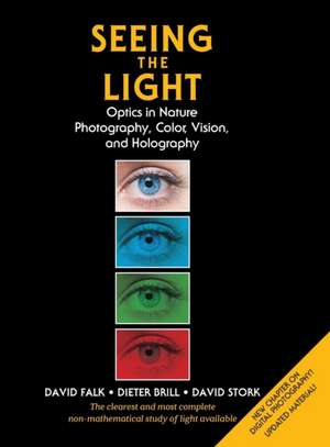 Seeing the Light de David R. Falk