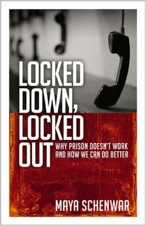 Locked Down, Locked Out: Why Prison Doesn't Work and How We Can Do Better de Maya Schenwar