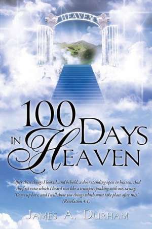 100 Days in Heaven de James A. Durham