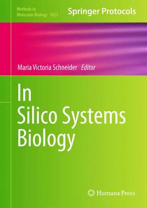 In Silico Systems Biology de Maria Victoria Schneider