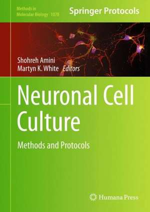 Neuronal Cell Culture: Methods and Protocols de Shohreh Amini