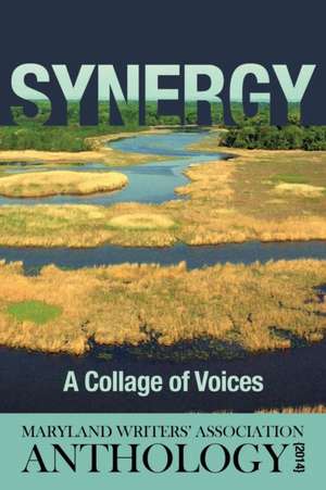 Synergy de Maryland Writers Association