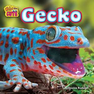 Gecko de Jessica Rudolph