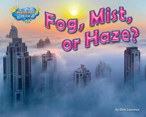 Fog, Mist, or Haze? de Ellen Lawrence