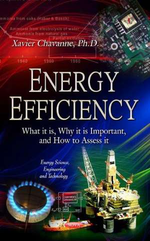 Energy Efficiency de Xavier Chavanne