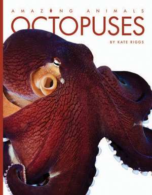 Octopuses de Kate Riggs